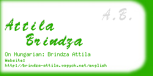 attila brindza business card